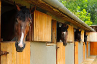 free Stoke Charity stable construction quotes